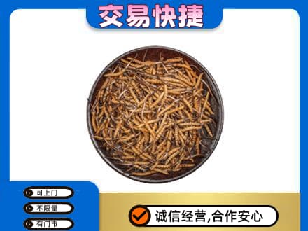 版纳回收散虫草