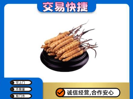 版纳礼品回收散虫草.jpg